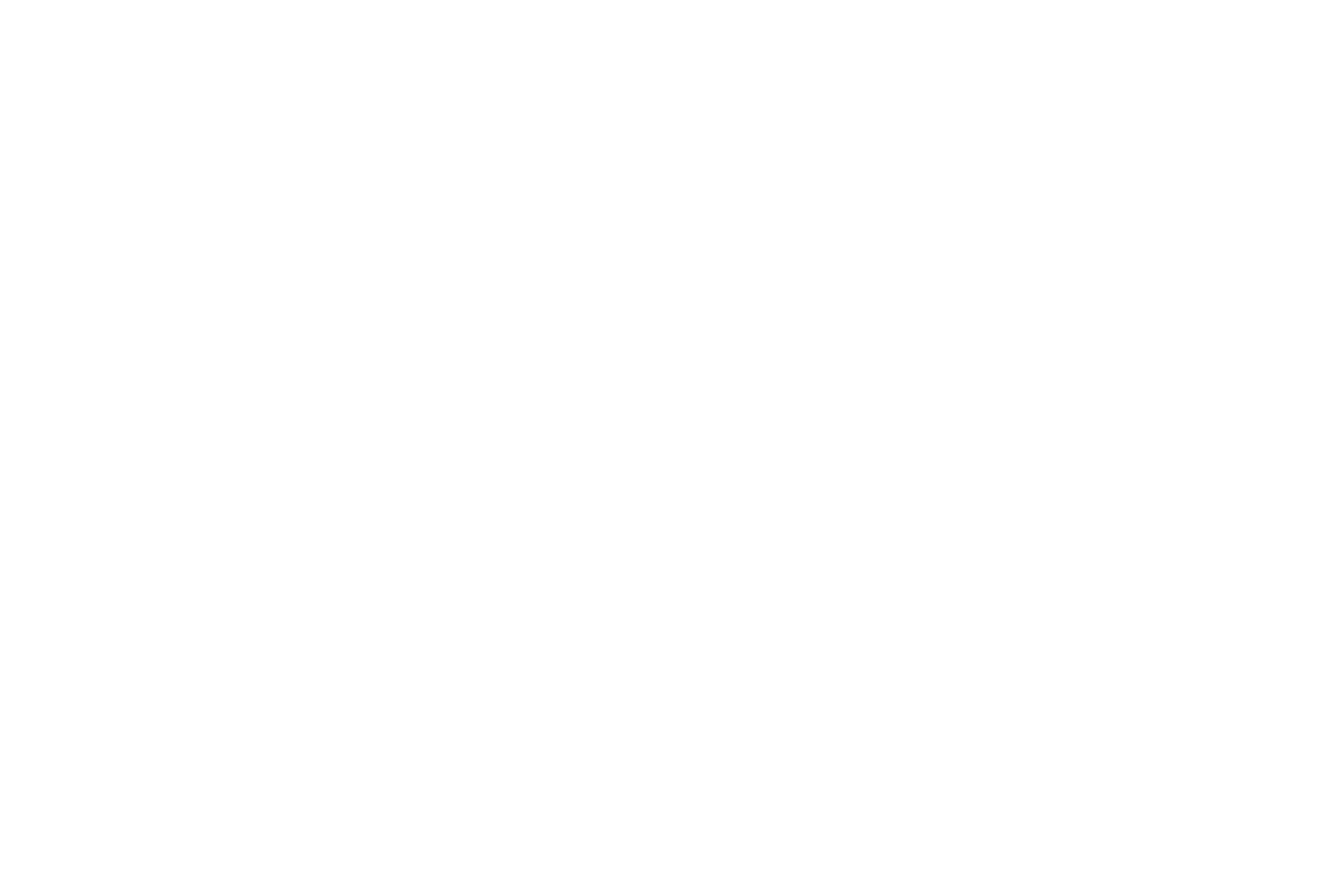 Trivigno Health Insurance Logo